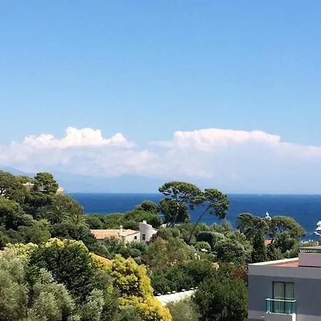 Sea View And Pool In Cap D'Antibes Lejlighed